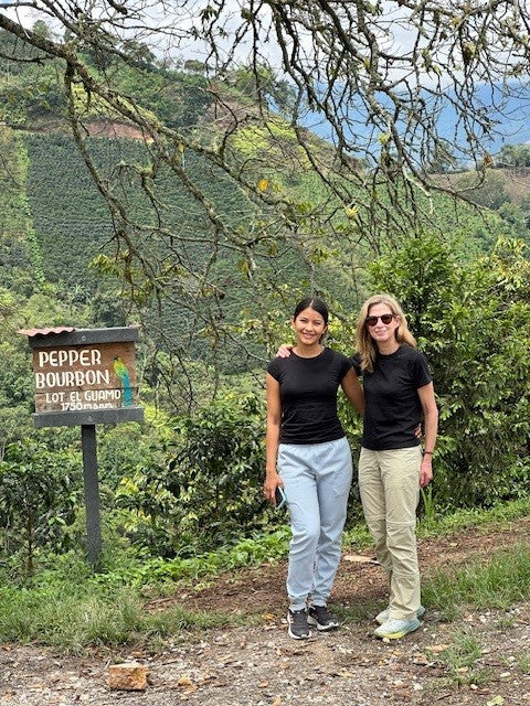 LAVENDERDER FUSION By Oscar Hernandez