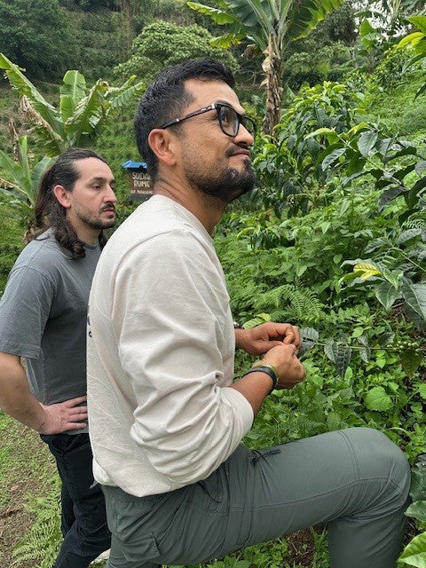 LAVENDERDER FUSION By Oscar Hernandez