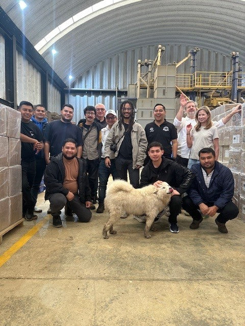 MICROLOT BOURBON AMARILLO by Wilton Benitez