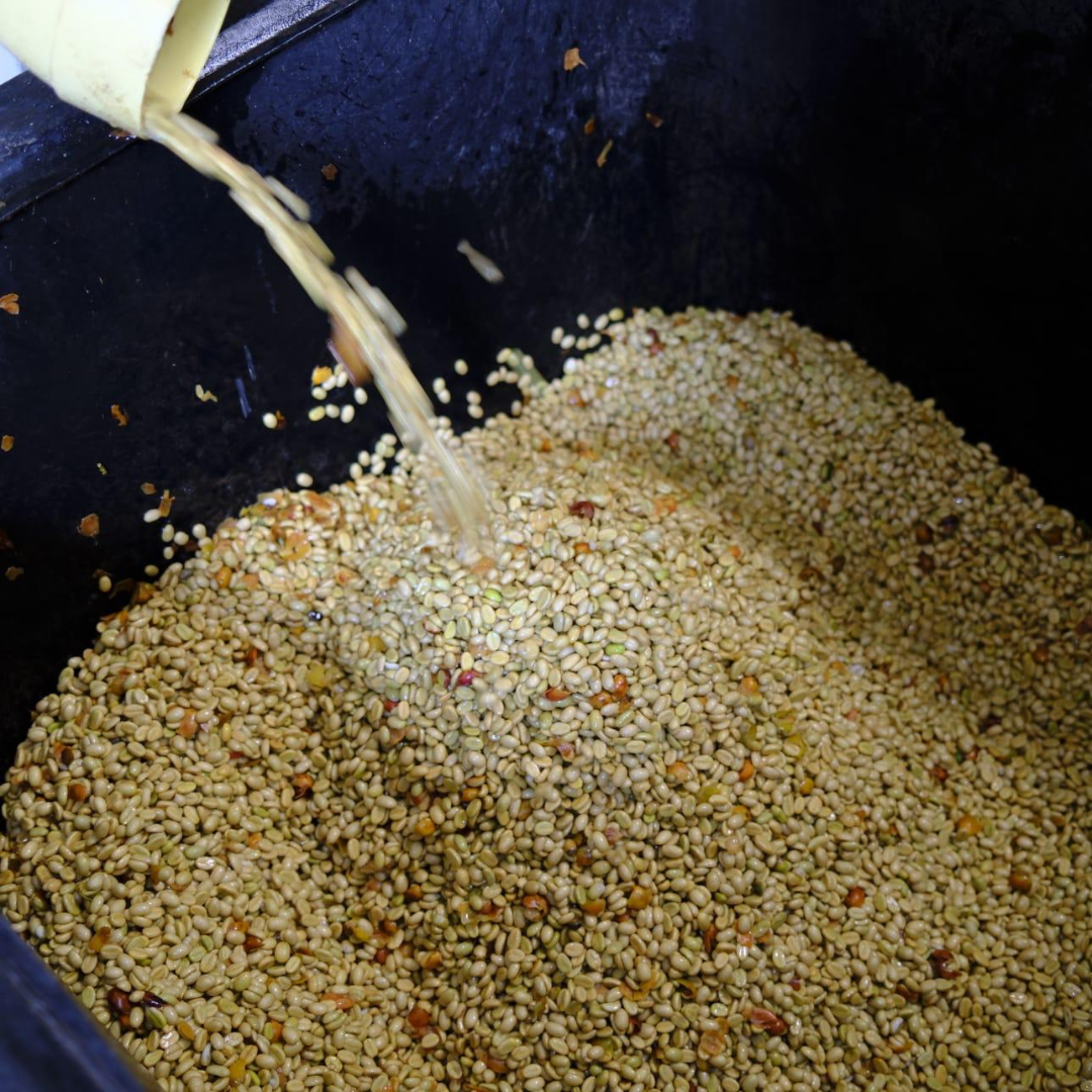 MICROLOT BOURBON AMARILLO by Wilton Benitez