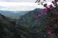 Manifiesto HUILA